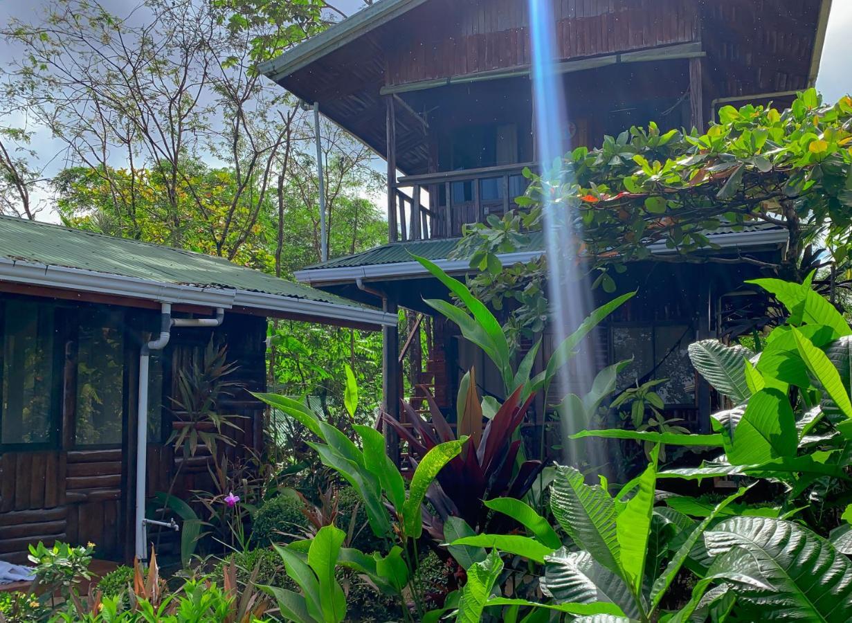 Cotingas Ocean View Villa Drake Bay Exterior photo