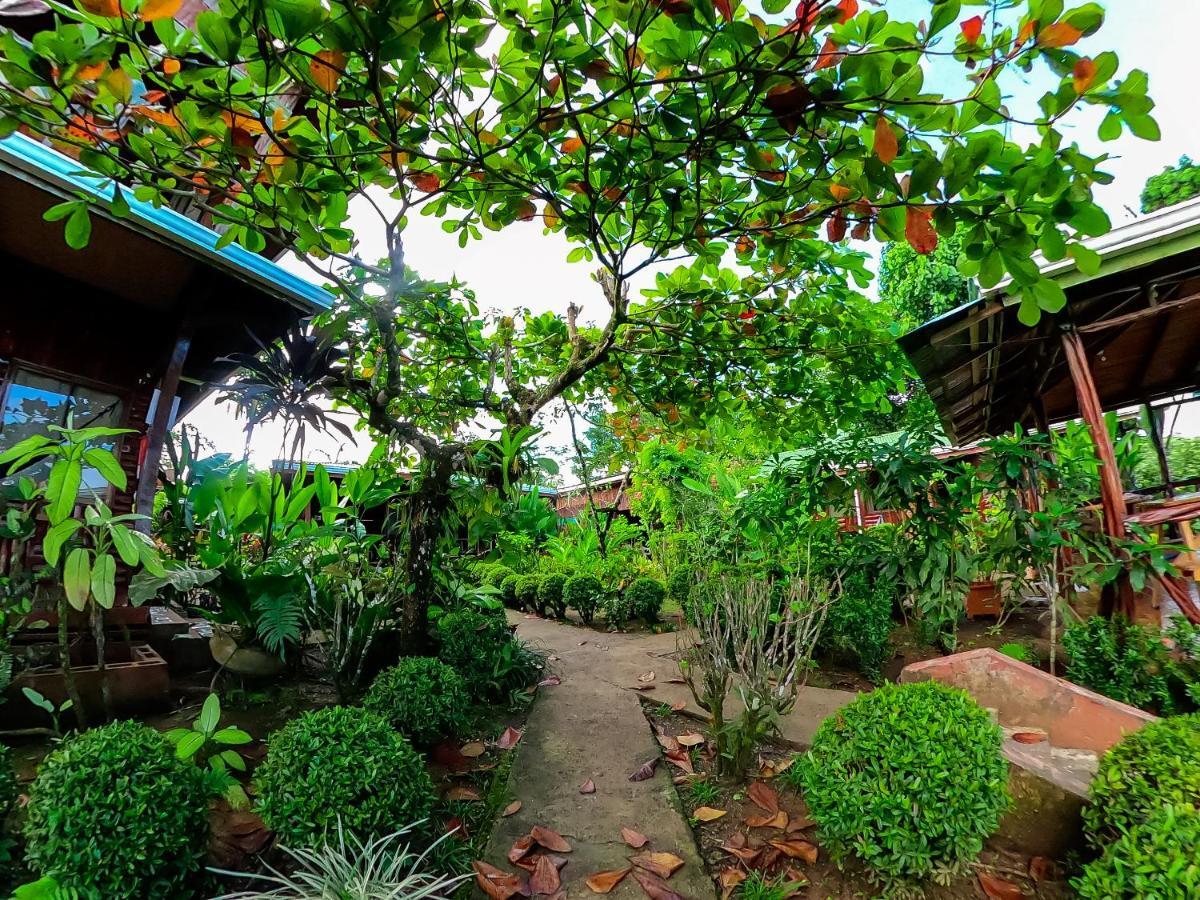 Cotingas Ocean View Villa Drake Bay Exterior photo